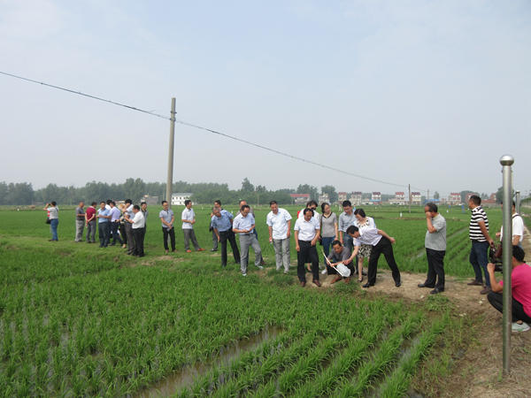 全省農(nóng)作物重大害蟲性誘防控觀摩會在我縣召開2_副本.jpg