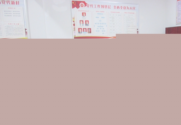 定遠縣科協深入貧困村開展調研活動.JPG