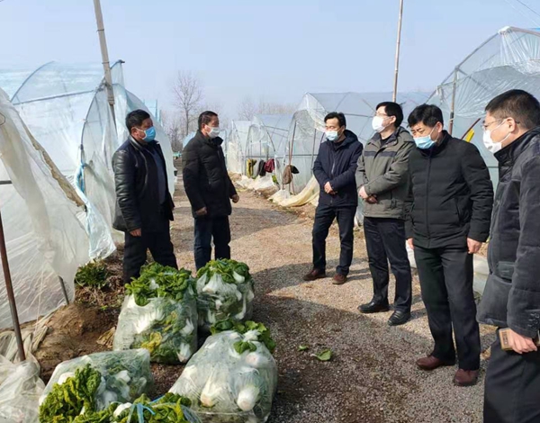 定遠縣農業農村局積極做好農業生產穩保供.jpg